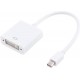 Apple Mini DisplayPort to DVI Adapter Wit