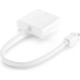 Apple Mini DisplayPort to DVI Adapter Wit